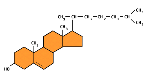 Que son los esteroides o lipidos derivados