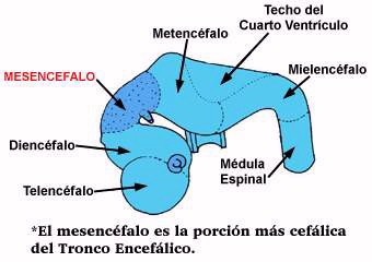 Foto31