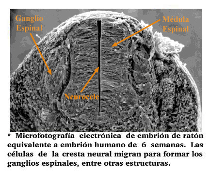 Foto41