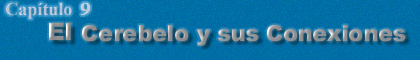 Capitulo 9