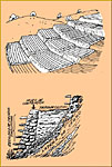 Grfico que ilustra la composicin de una terraza Incaica