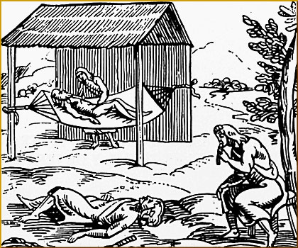 Ceremonia Ind�gena