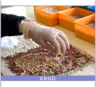 Ergo